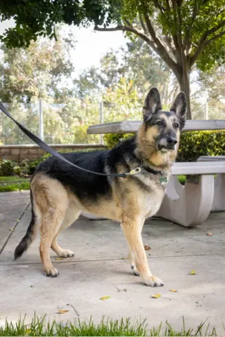 Gunnar