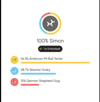 Simon - bdm