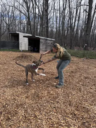 Sophia: Not at the shelter (Alan)