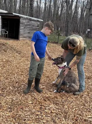 Sophia: Not at the shelter (Alan)