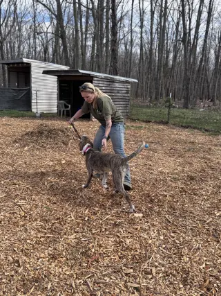 Sophia: Not at the shelter (Alan)