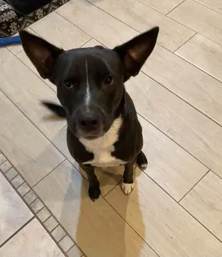 Tuck