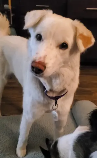 Keira