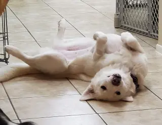 Keira