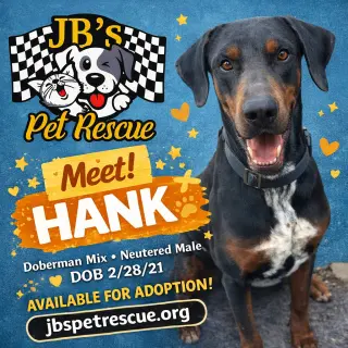 Hank