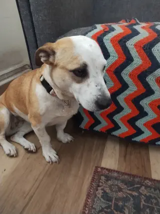 Sabrina