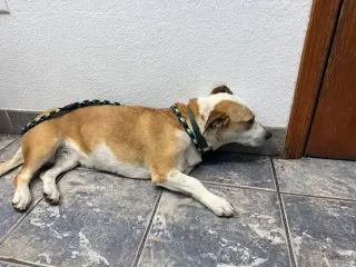 Sabrina