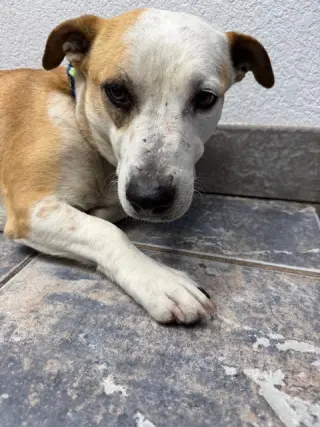 Sabrina