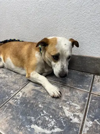 Sabrina