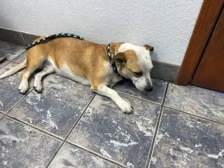 Sabrina