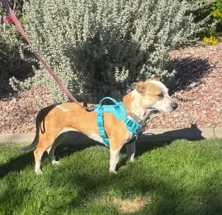 Sabrina
