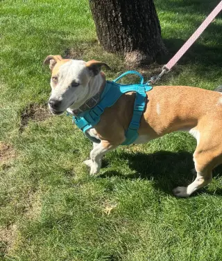 Sabrina