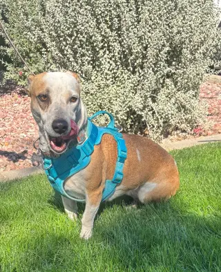 Sabrina