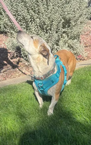 Sabrina
