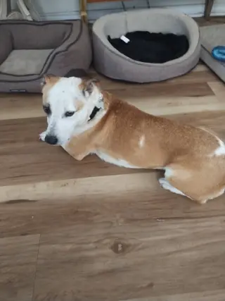 Sabrina
