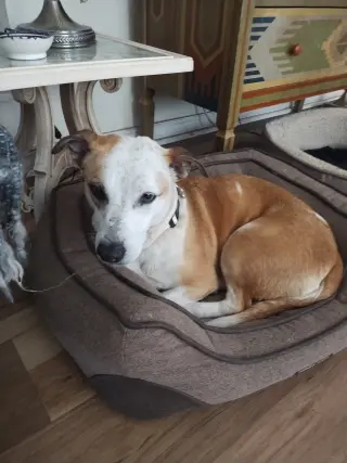 Sabrina