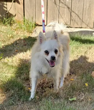 Enzo from Korea