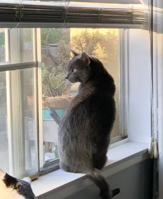 Ivan