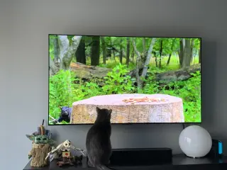 Ivan