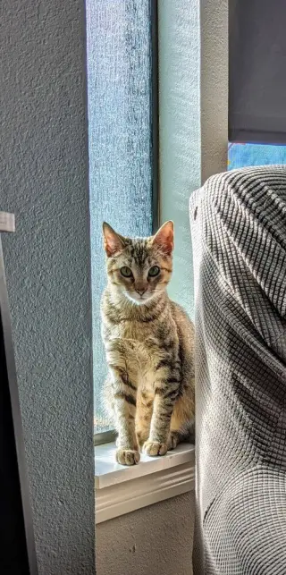 Margarita