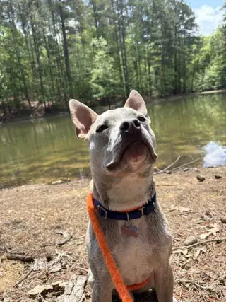 Victor