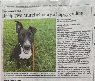 Murphy