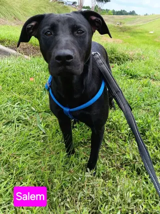 Salem