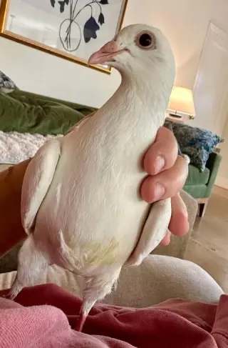 Evan w/ Silver