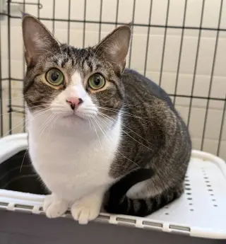 Chloe