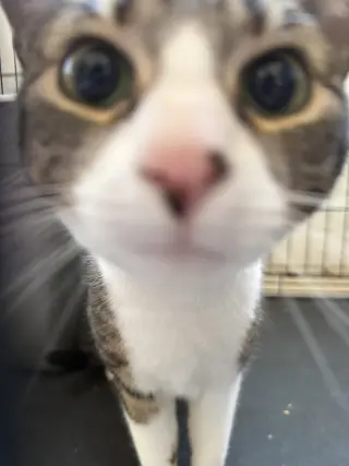 Chloe