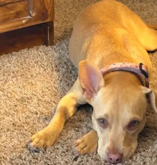 Maggie