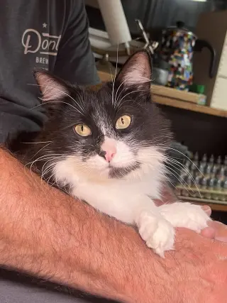 Vito