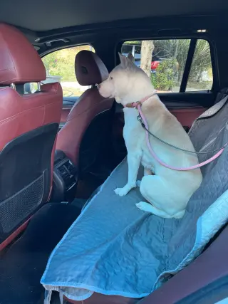 MAMA ANGEL