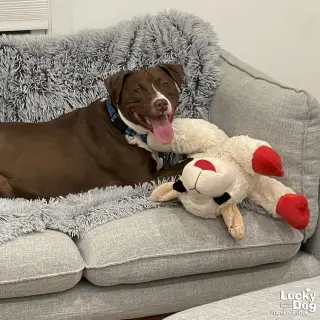 Gilligan