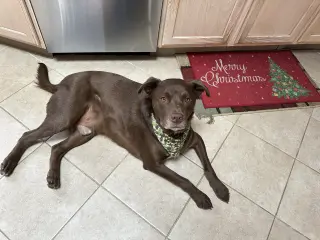 RILEY