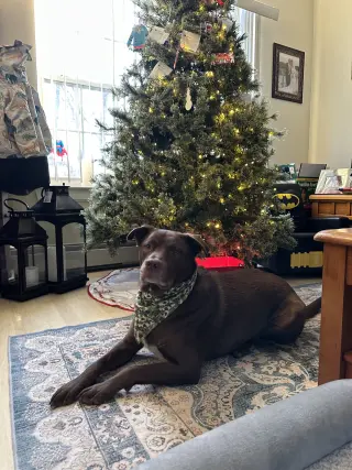 RILEY