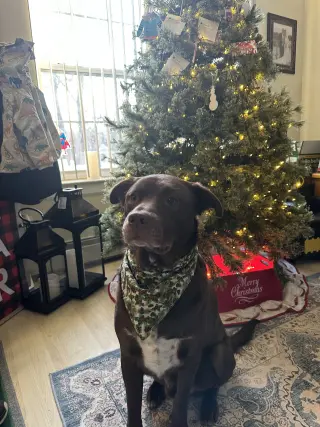RILEY