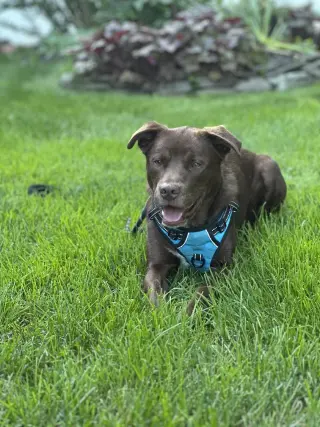 RILEY