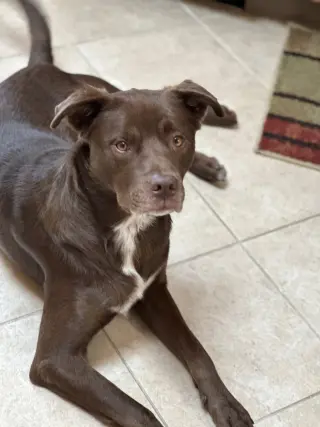 RILEY