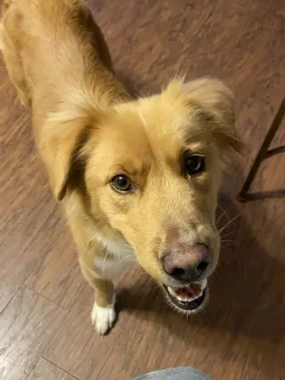 Lucy