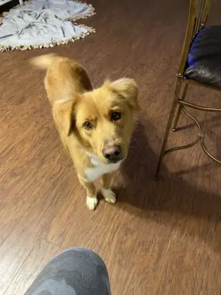 Lucy