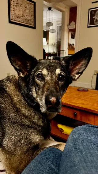 Lily