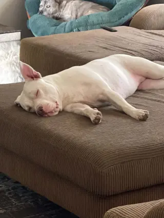 Luna