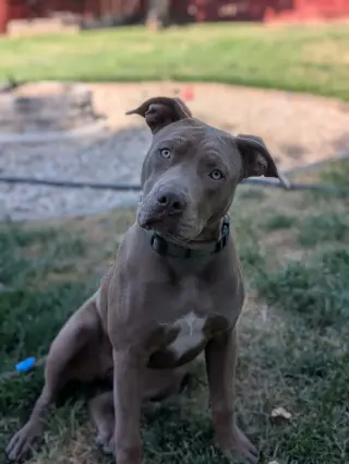 Coco