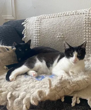 Luna and Lyra