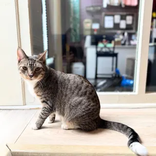 Beans & Beanie
