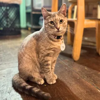 Beans & Beanie