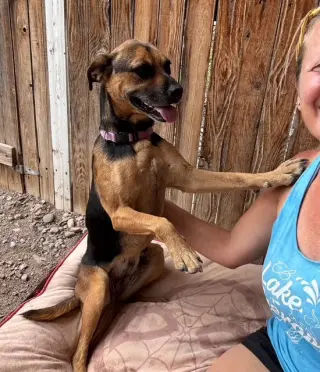 Nutmeg