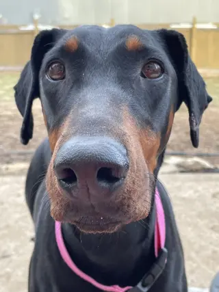 Anna