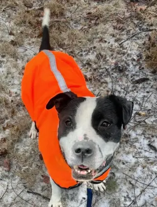Jett